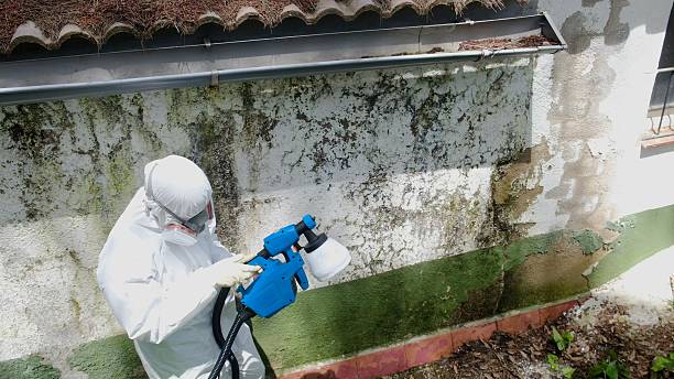 Top rated local Mold Remediation specialists in Norcross, GA